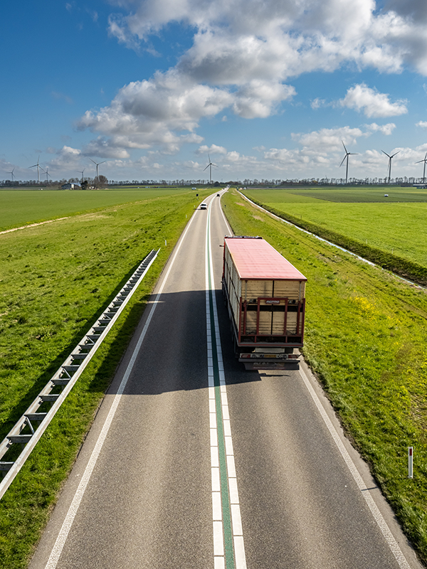 Transport logistics is getting ready for the green future